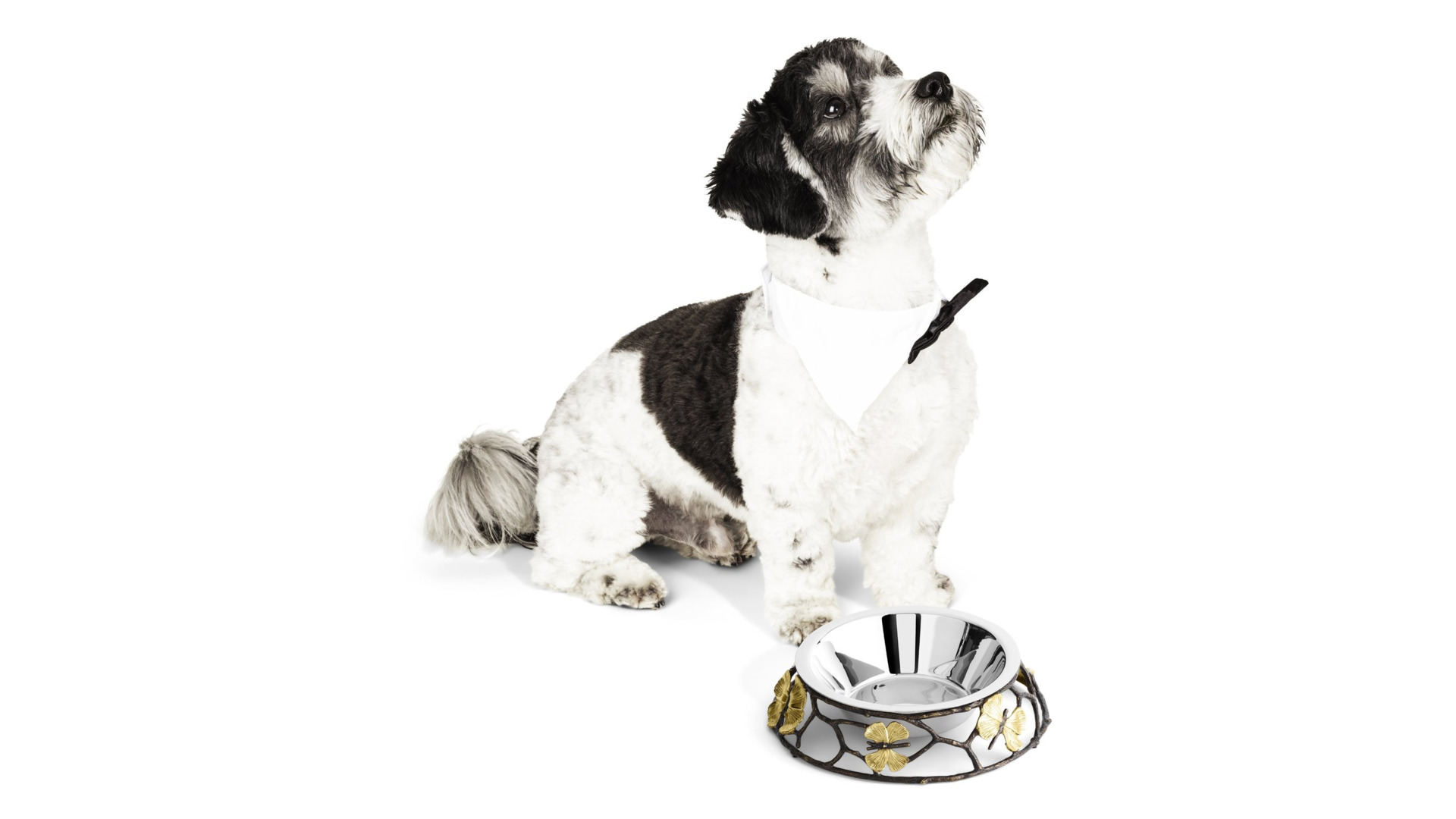 michael-aram-butterfly-ginkgo-dog-bowl-297409_1799x1800